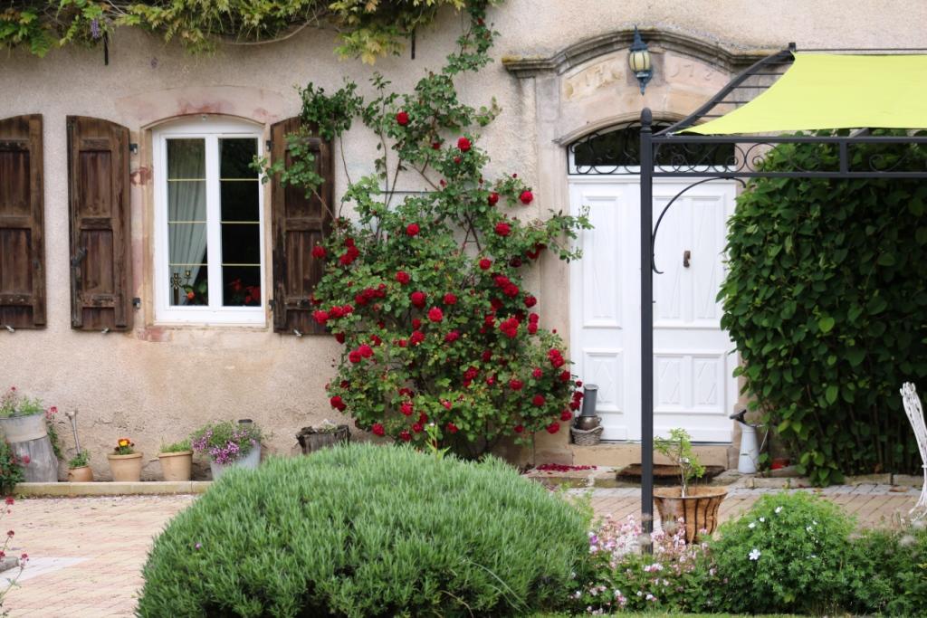 Le Clos D'Albray - Chambres D'Hotes Et Gite Comps-la-Grand-Ville Экстерьер фото